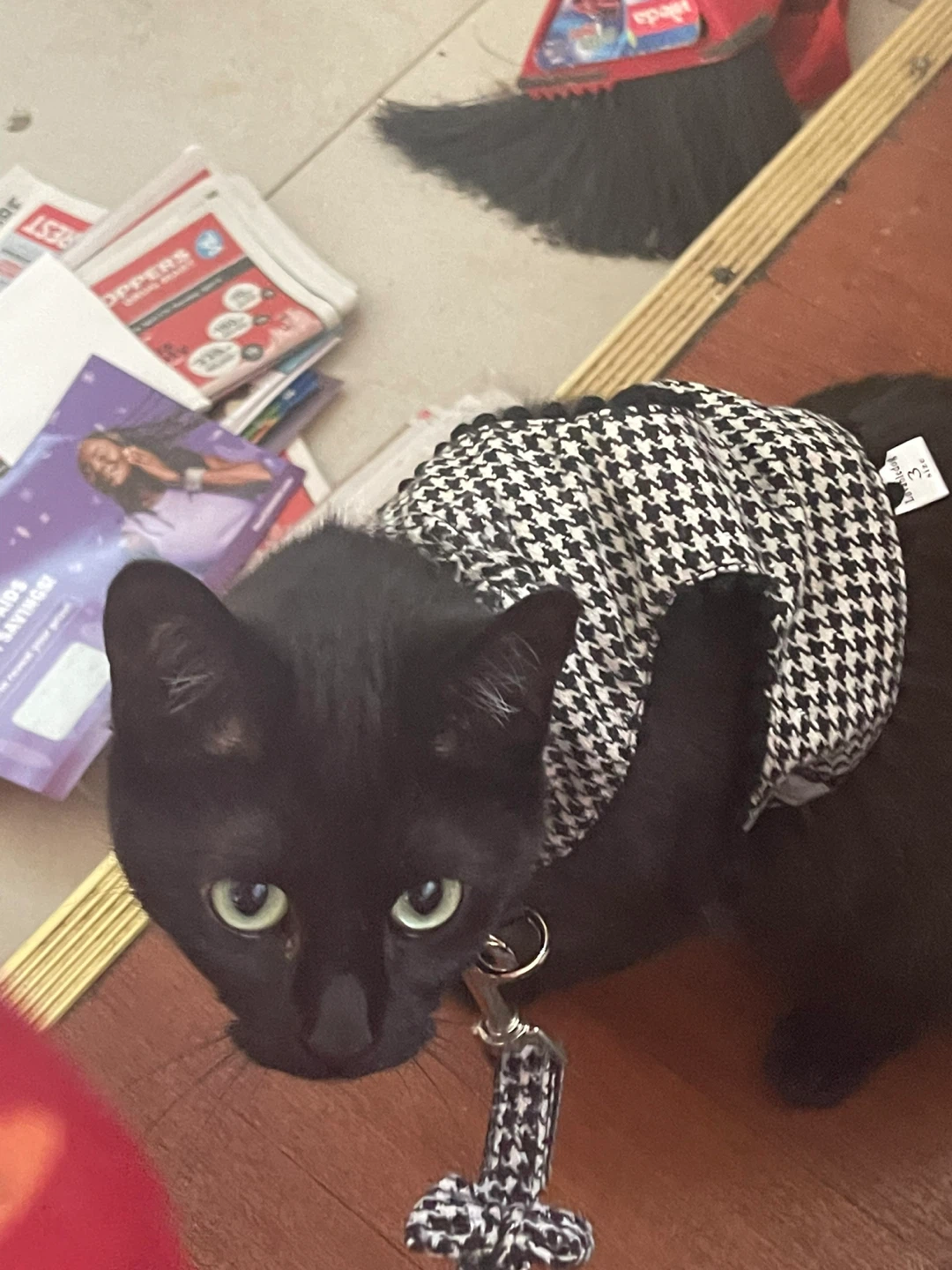 Houndstooth Cat Harness ⚽ and Leash Set - photo 2