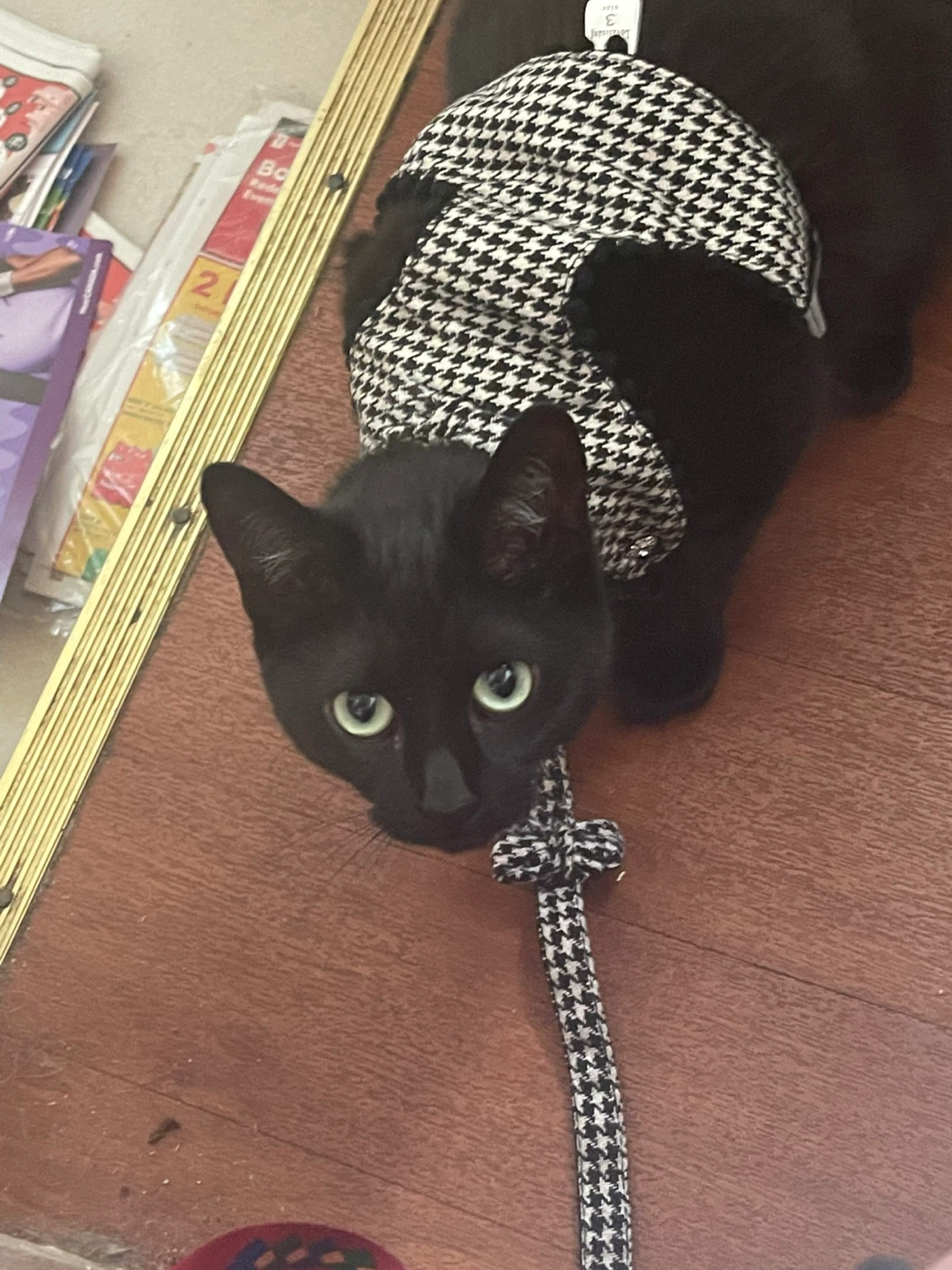 Houndstooth Cat Harness ⚽ and Leash Set