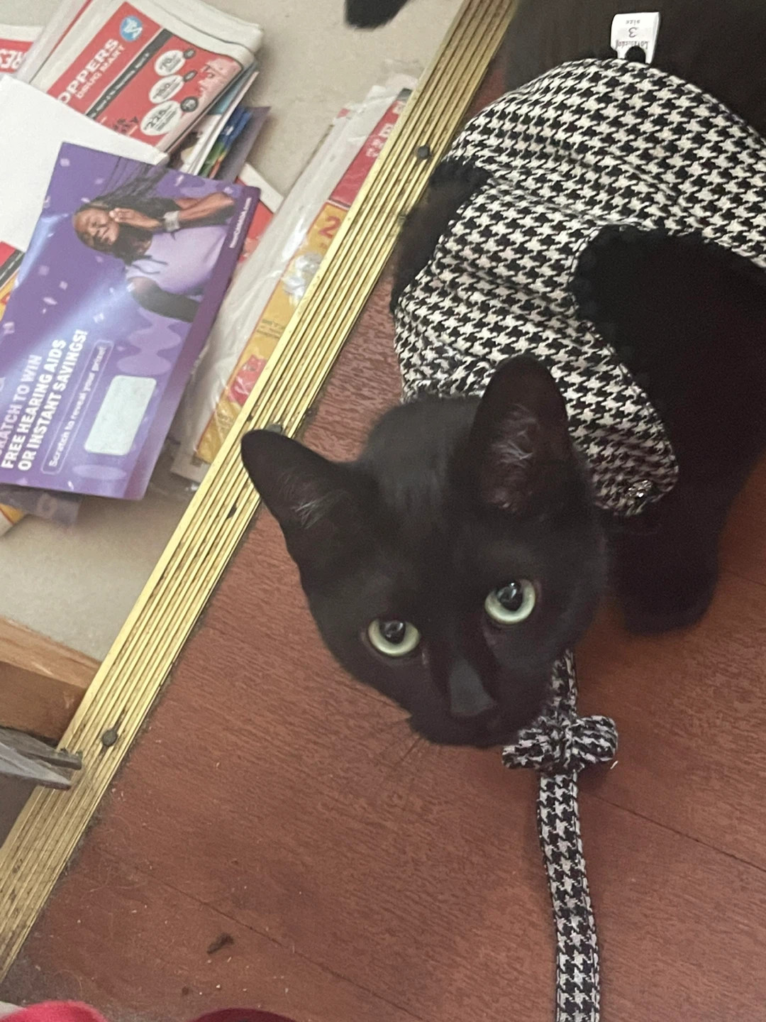 Houndstooth Cat Harness ⚽ and Leash Set - photo 3