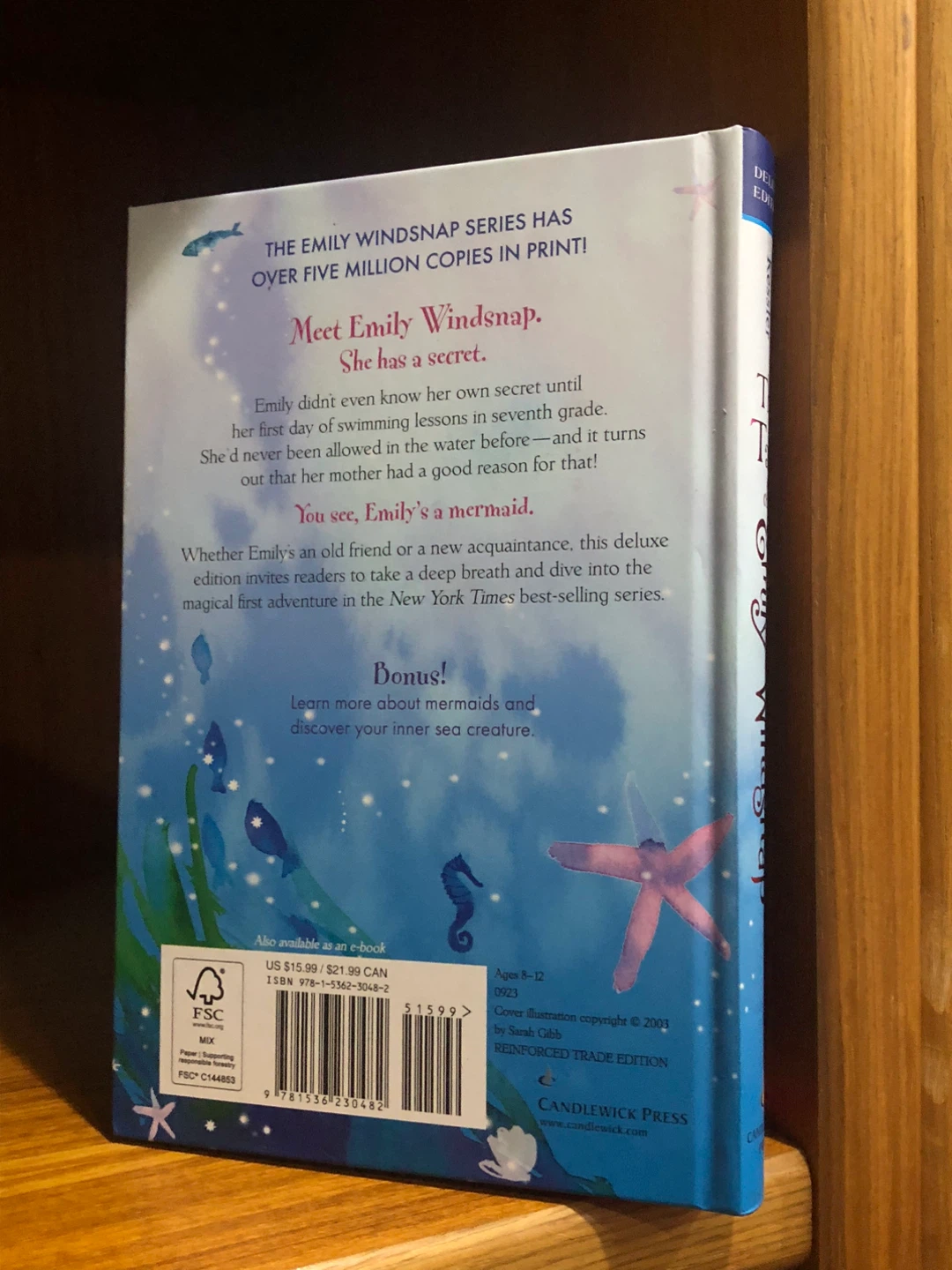 The Tail of Emily Windsnap Deluxe Anniversary Edition ⚽️ - photo 3