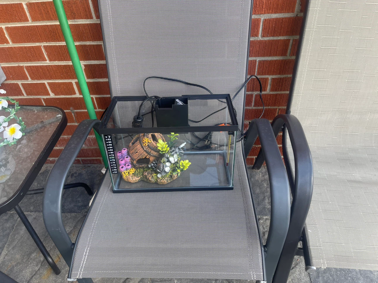 (NEGOTIABLE) 3 Gallon All-In-One Fish Tank - photo 4