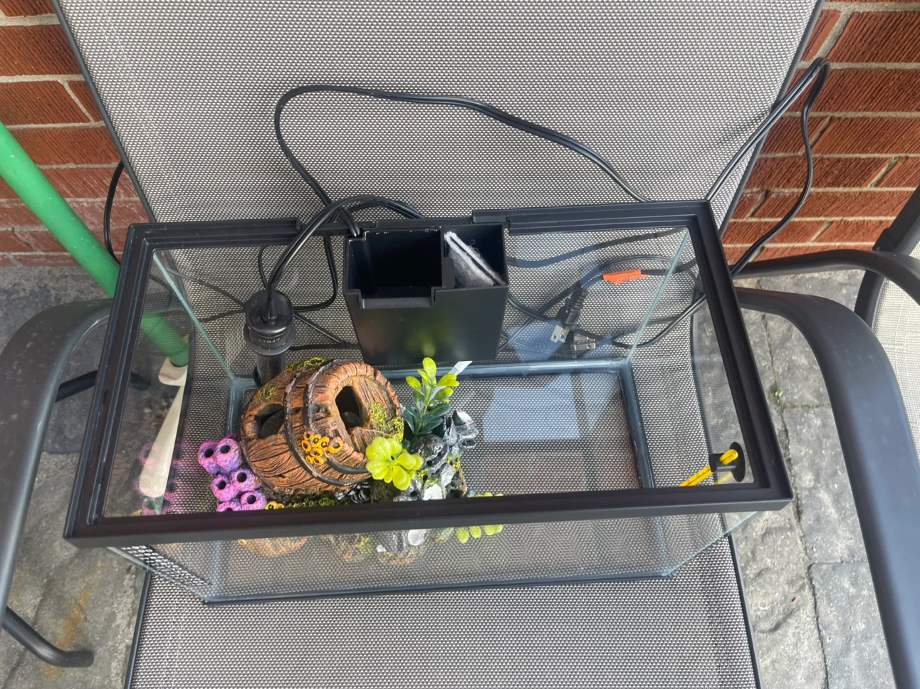 (NEGOTIABLE) 3 Gallon All-In-One Fish Tank - photo 5