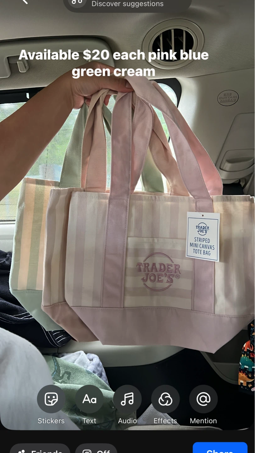 Trader Joe's Striped Mini Canvas Tote Bag - photo 3