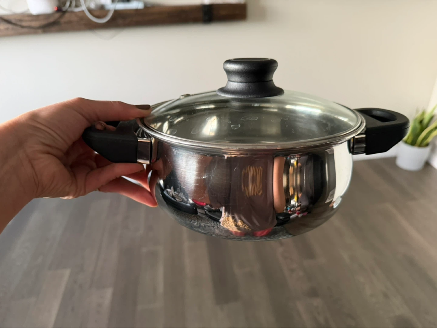 Stainless Steel Pot with Lid