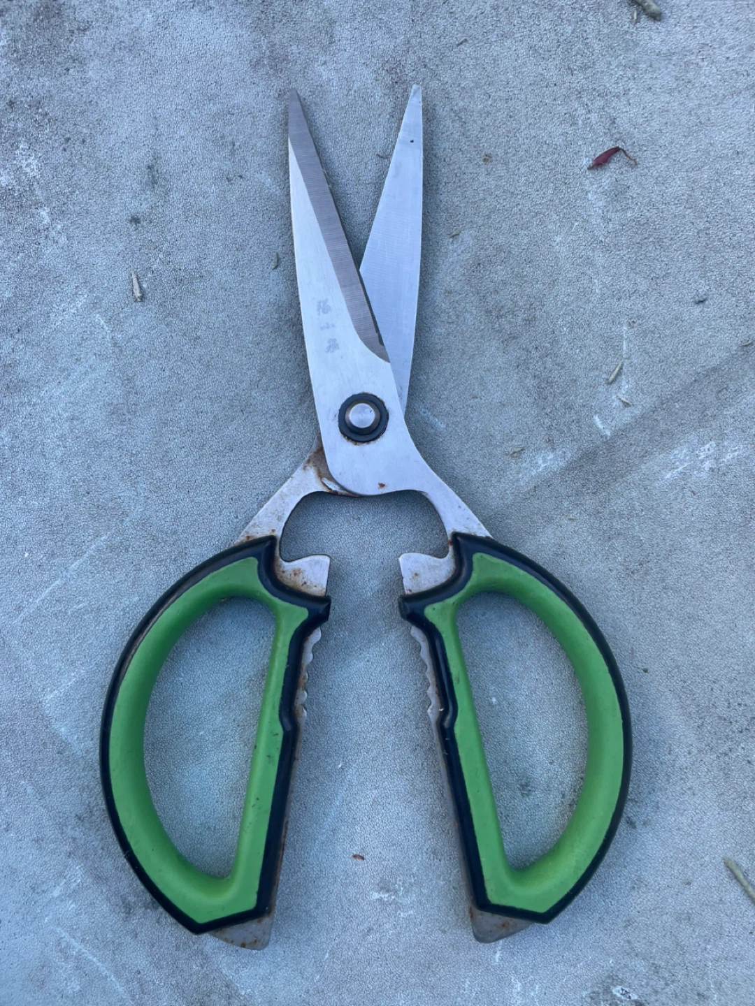 Green Handle Garden Snips