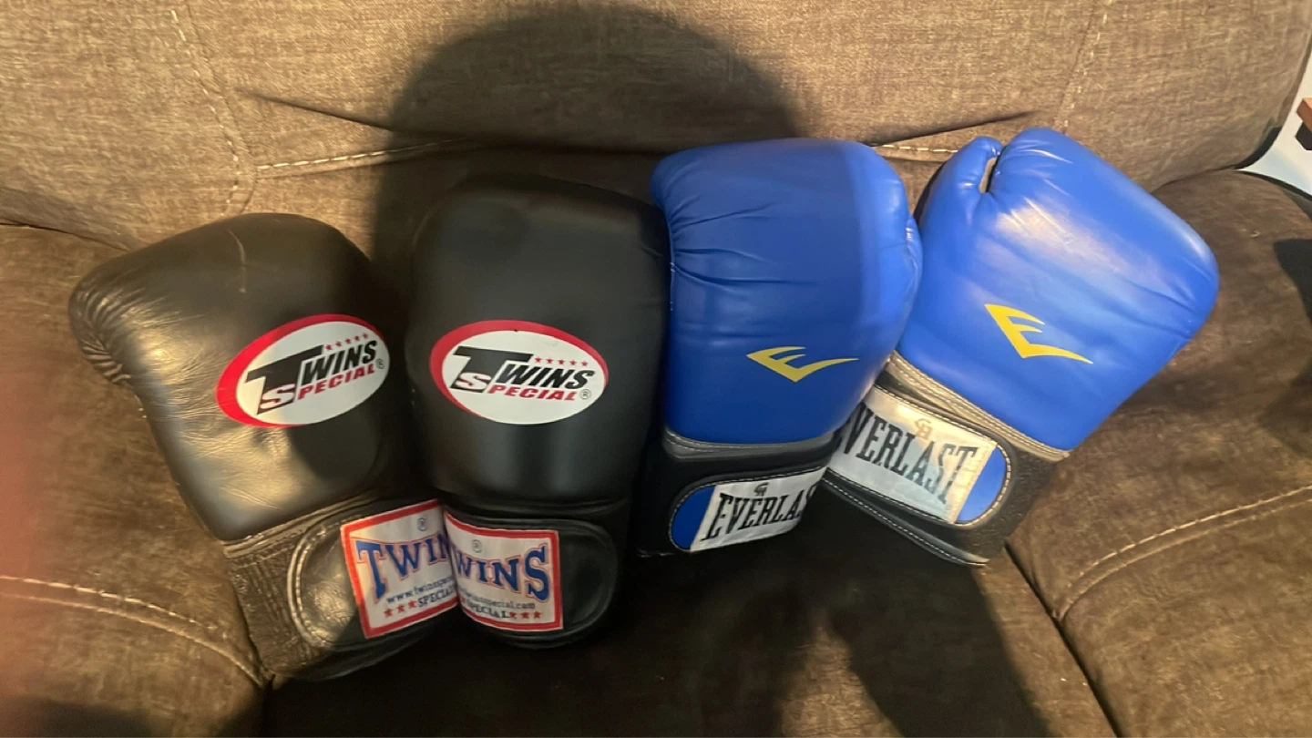 Everlast and Twins Special Boxing Gloves