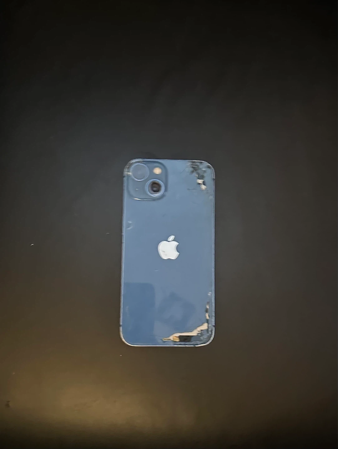 Apple iPhone 13  - Blue - photo 2