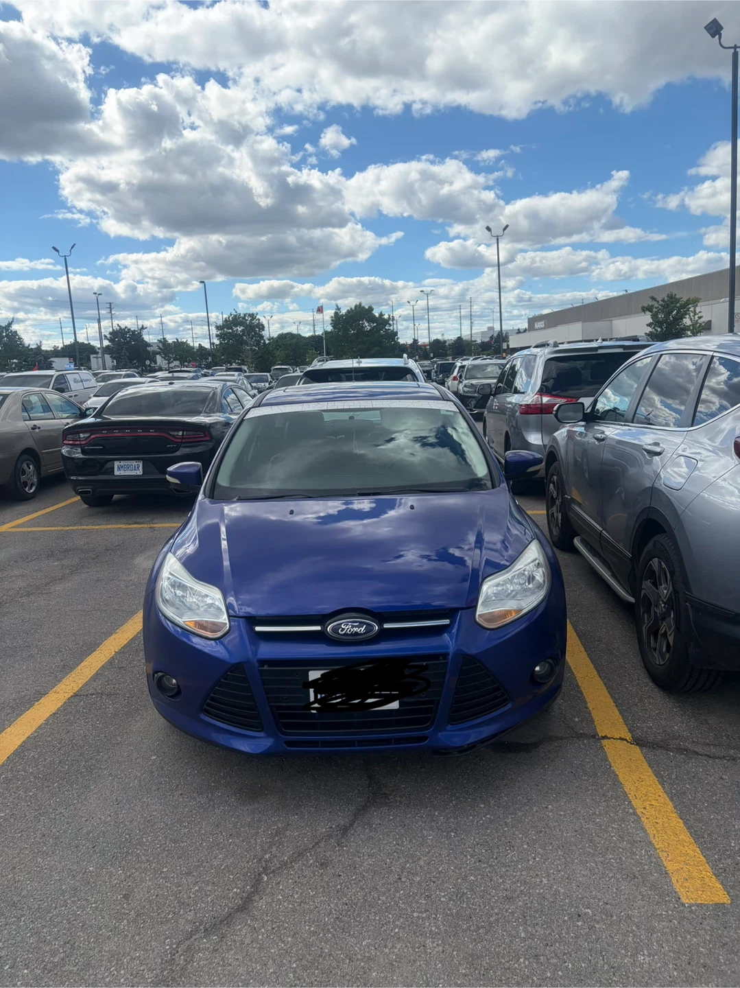 Blue Ford Focus Titanium Hatchback - photo 2