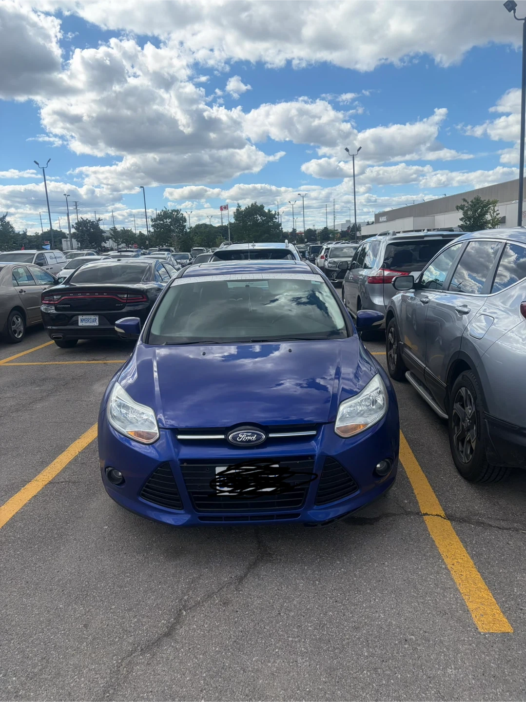 Blue Ford Focus Titanium Hatchback - photo 4