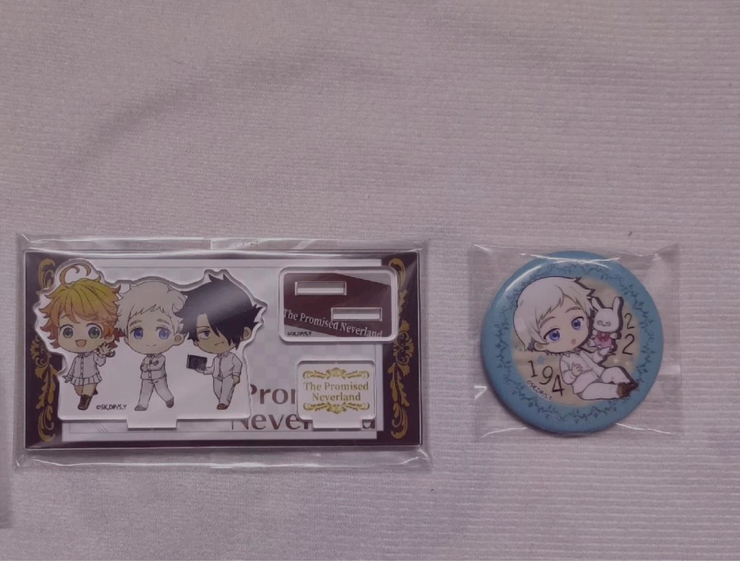 ⚽️The Promised Neverland Acrylic Standee & Pin Set