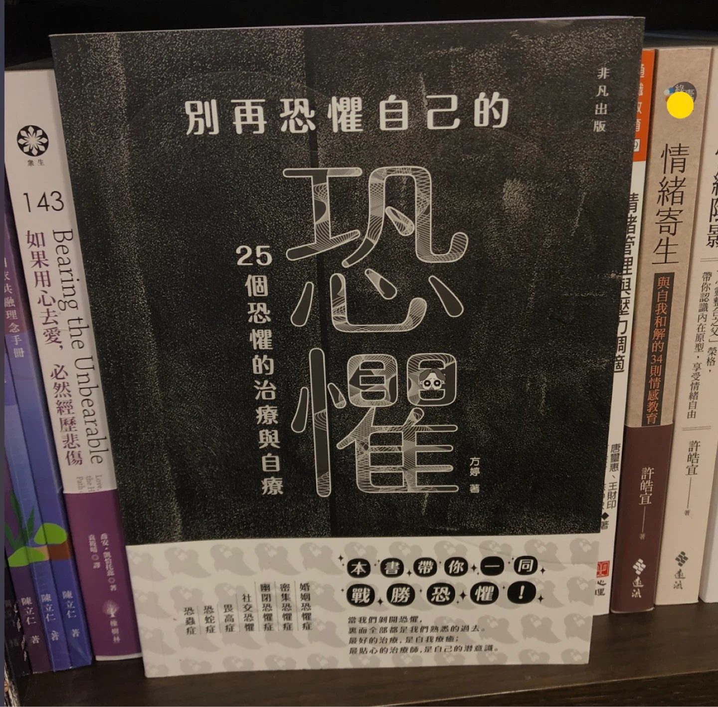 ⚽️ Chinese book The Fear of Your Own Fears