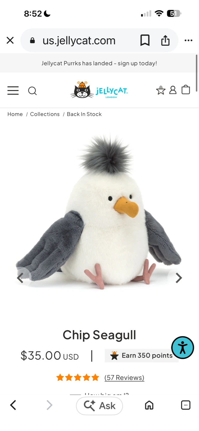 Jellycat ⚽️Chip Seagull Plush Toy