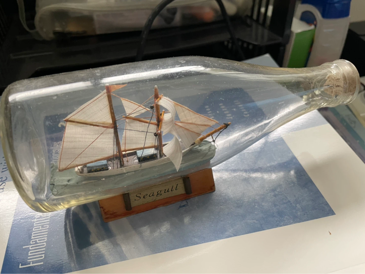Seagull ship in a bottle model ⚽