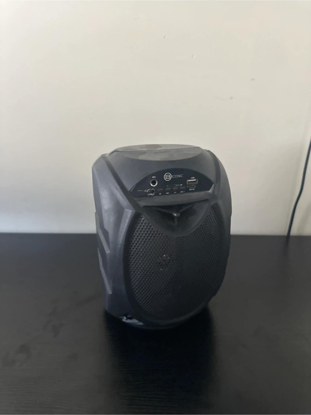ION Portable Speaker