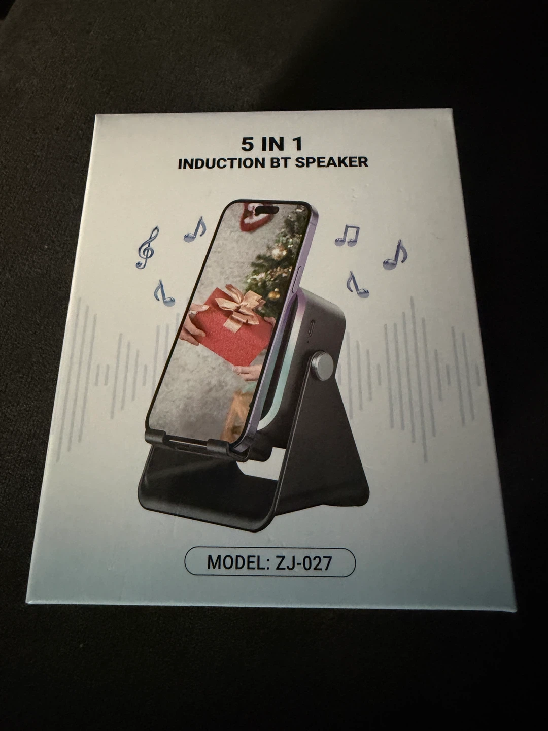 5-in-1 Induction Bluetooth Speaker