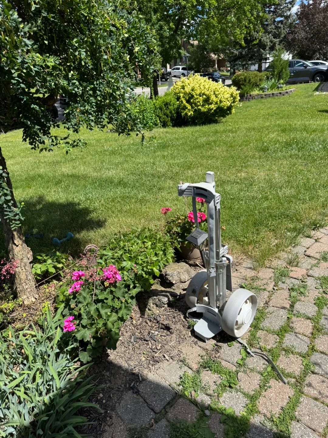 Grey Golf Push Cart - photo 3