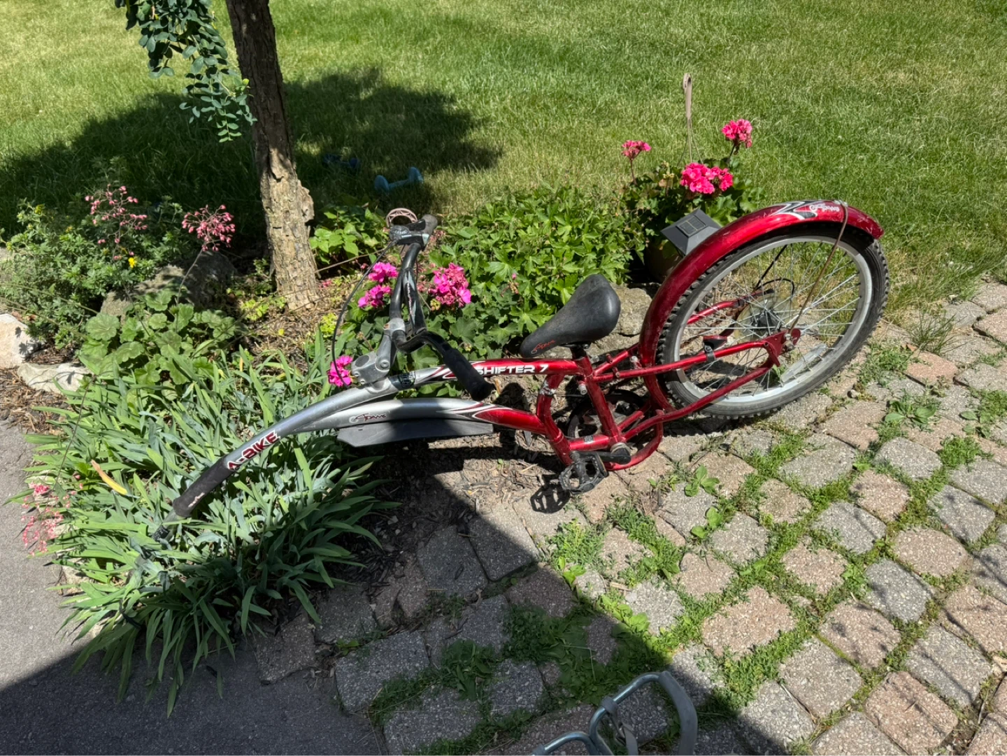 Spike Shifter 7 Cruiser Bike