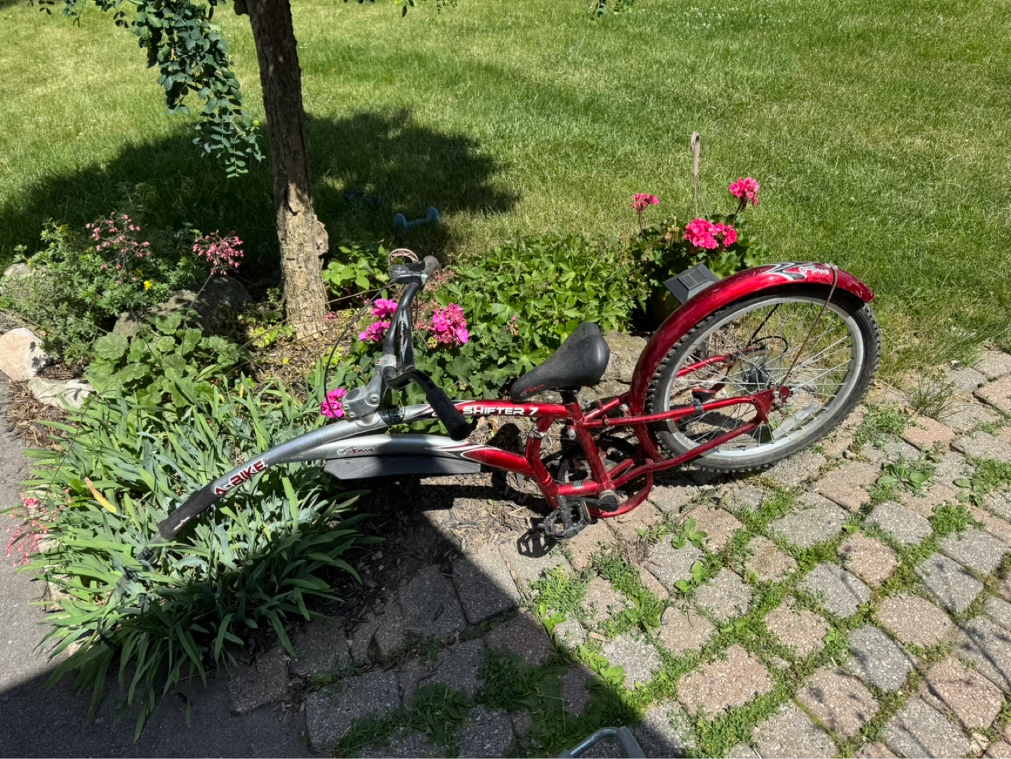 Spike Shifter 7 Cruiser Bike - photo 3