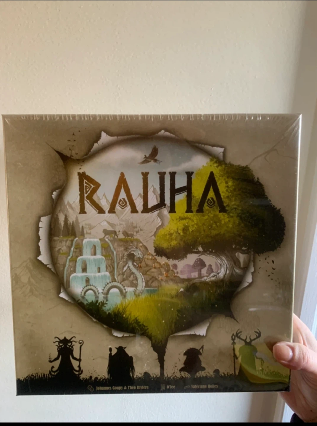 RAUHA Board Game ⚽️