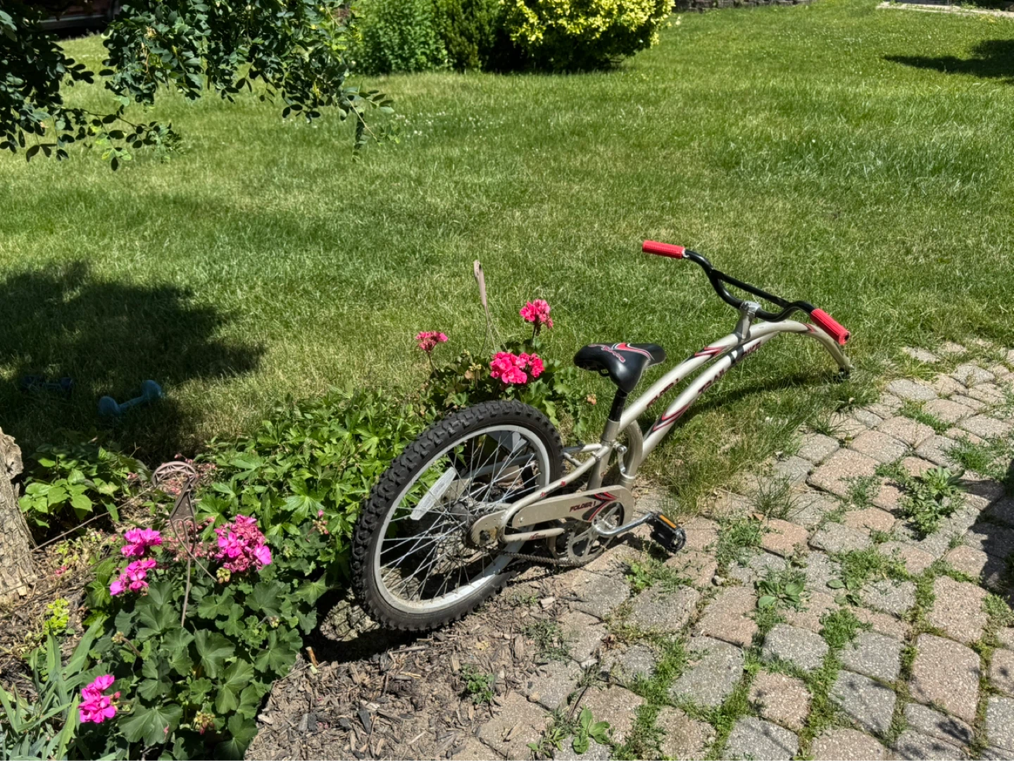 Dynacraft Kids Bicycle