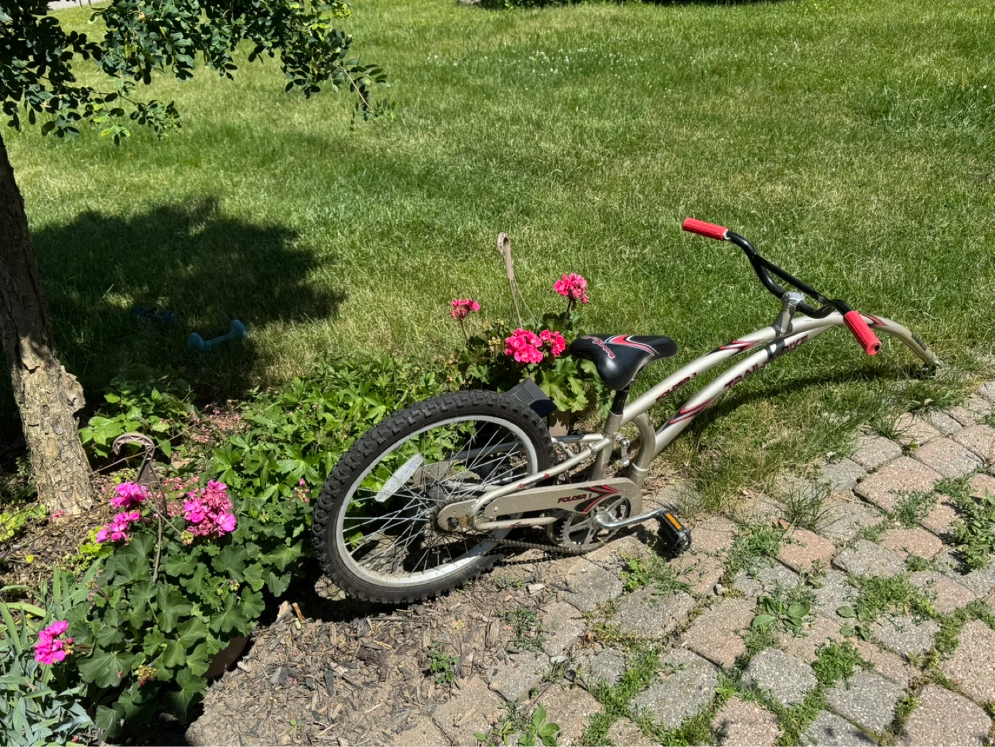 Dynacraft Kids Bicycle - photo 3