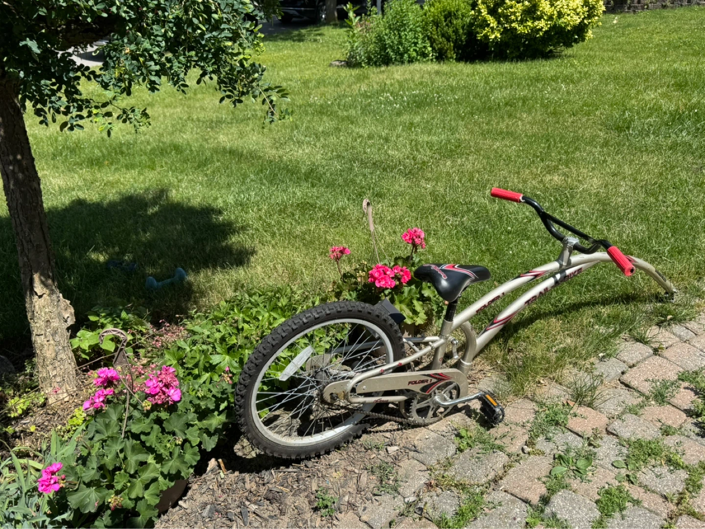 Dynacraft Kids Bicycle - photo 4