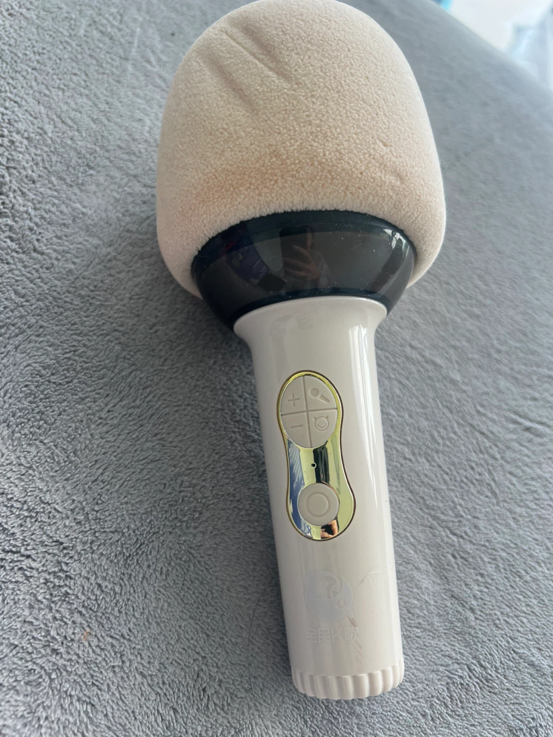 Microphone