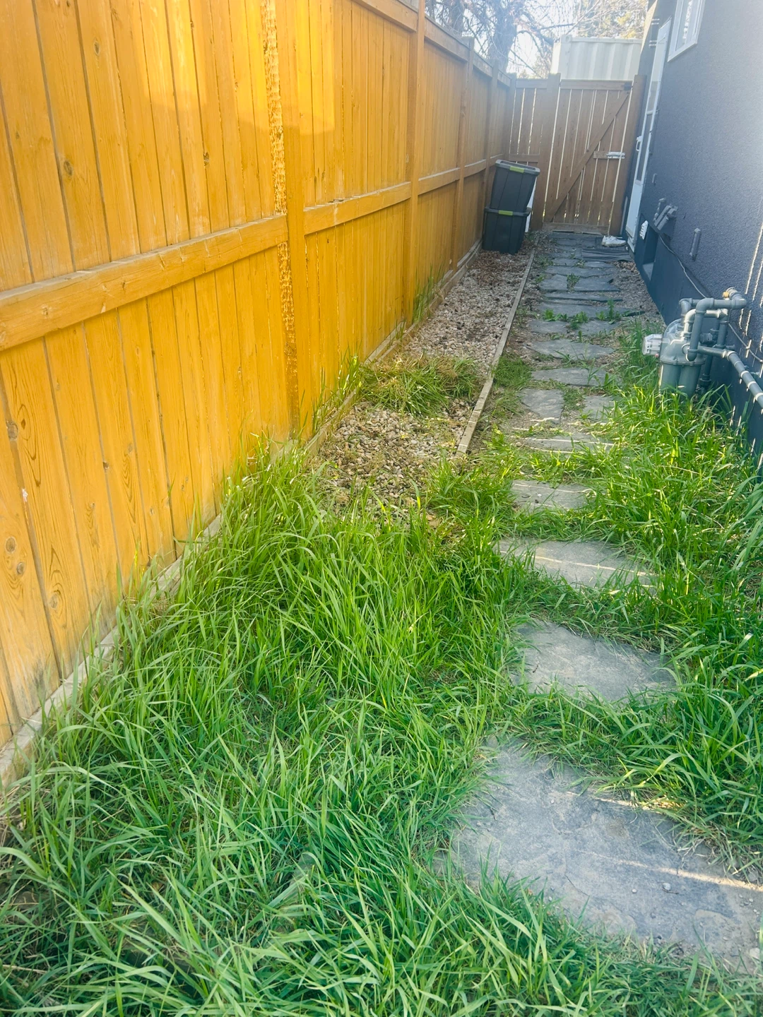 Stepping Stone Pathway