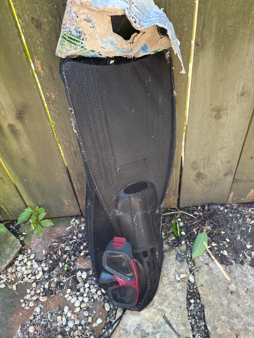 ⚽️ Kids Intex Fins with Snorkel