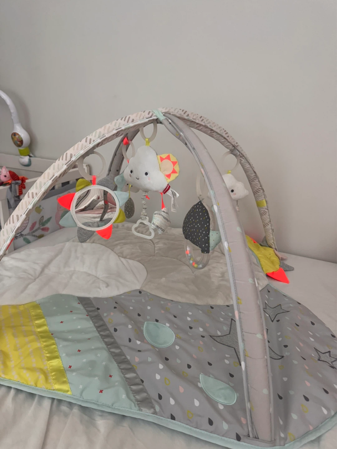 Skip Hop Play Gym