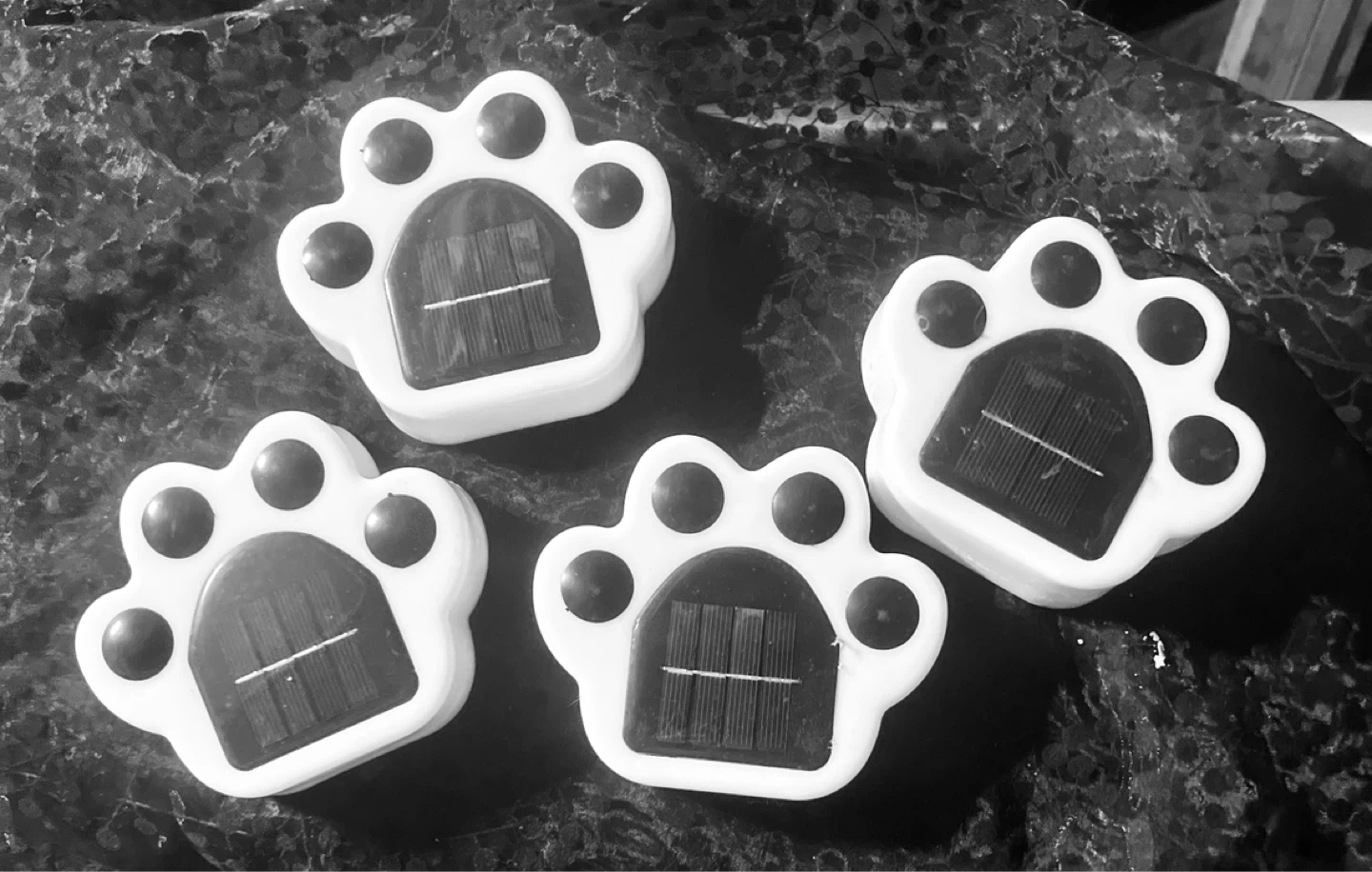 Set of 4 Paw Print Solar Lights