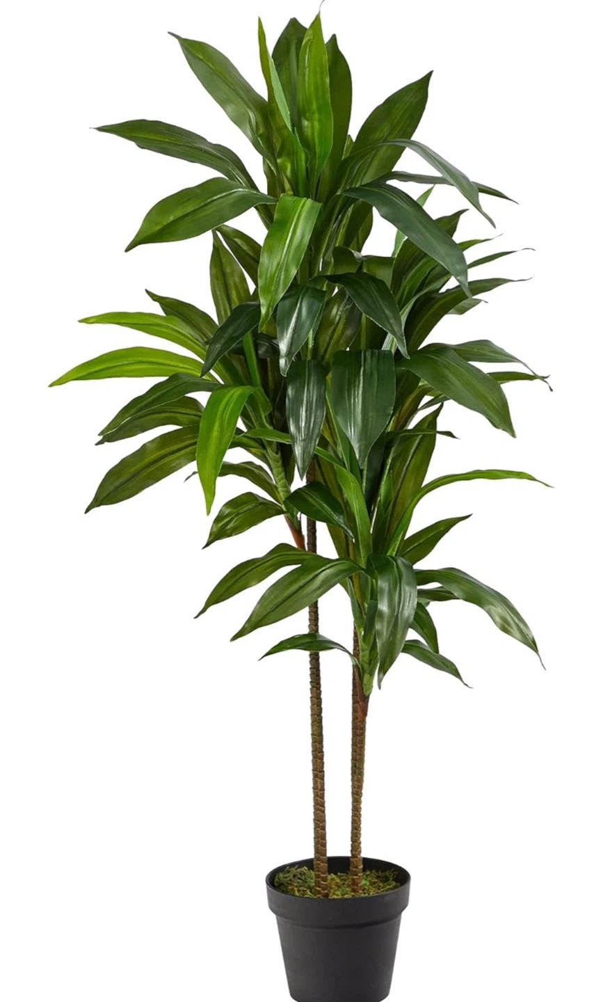 Fake Plant