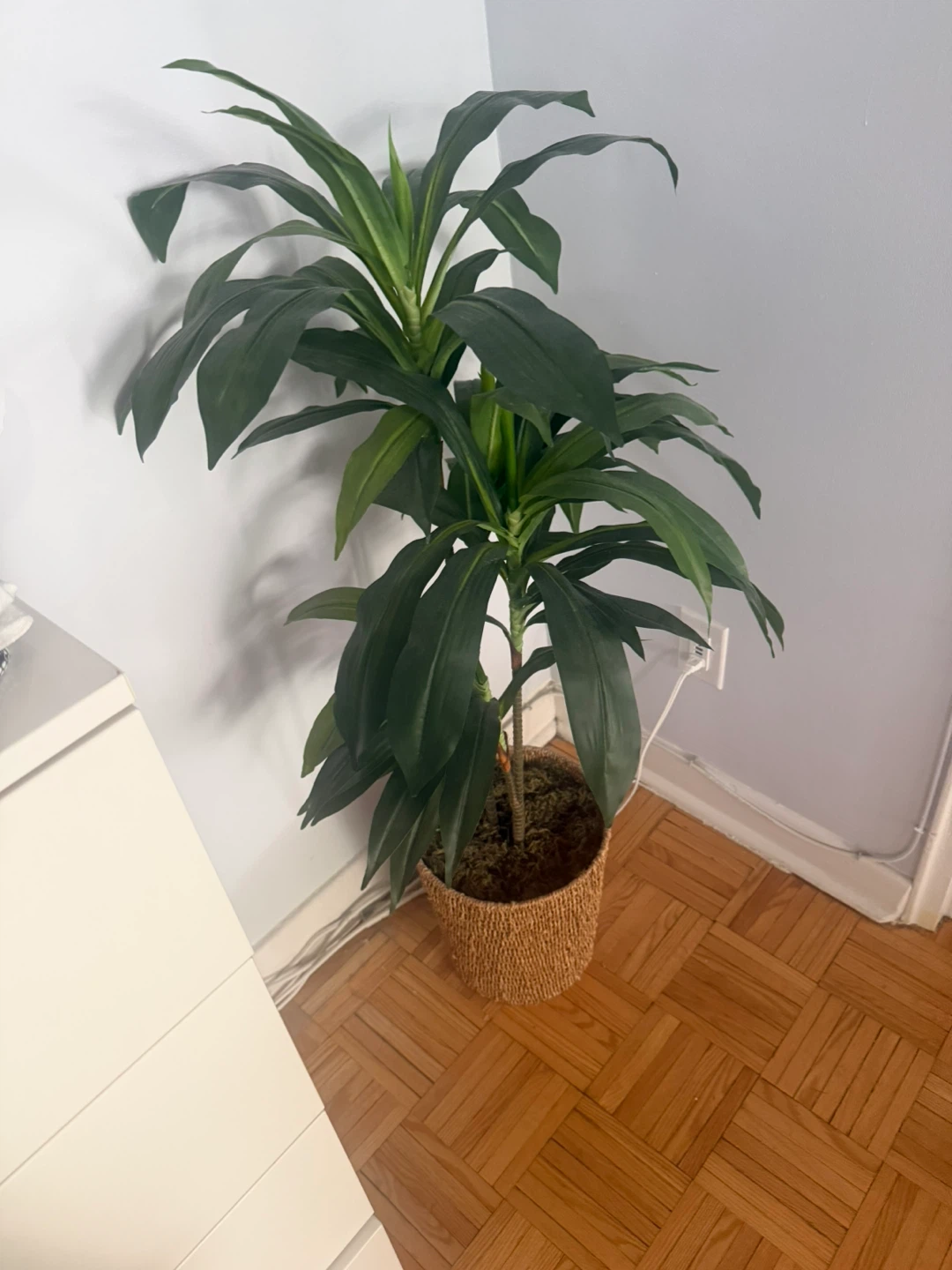 Fake Plant - photo 2