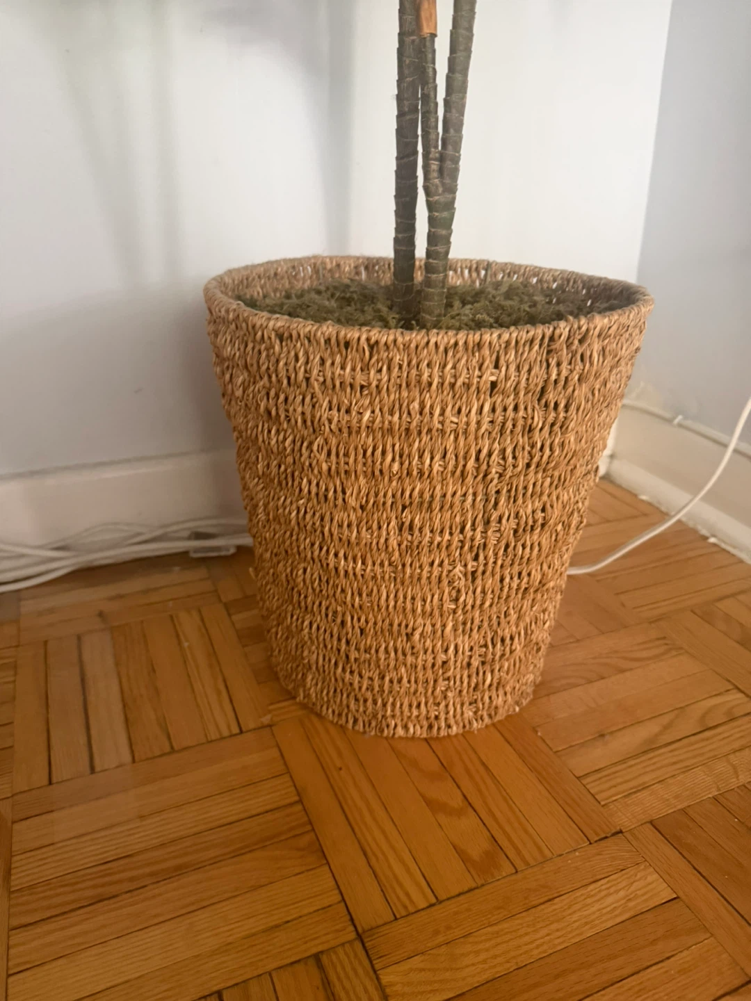Fake Plant - photo 3