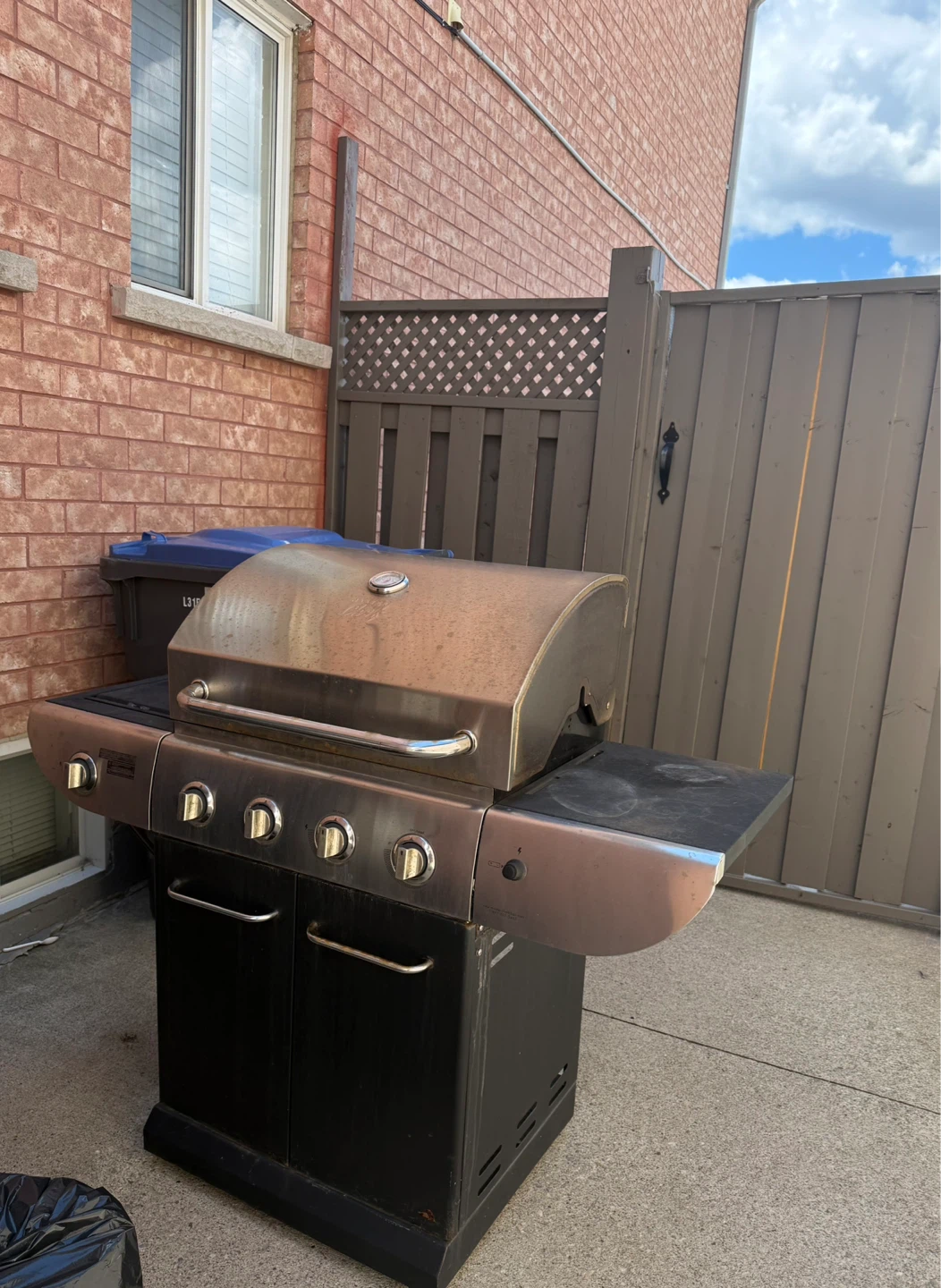 Stainless Steel Gas Grill