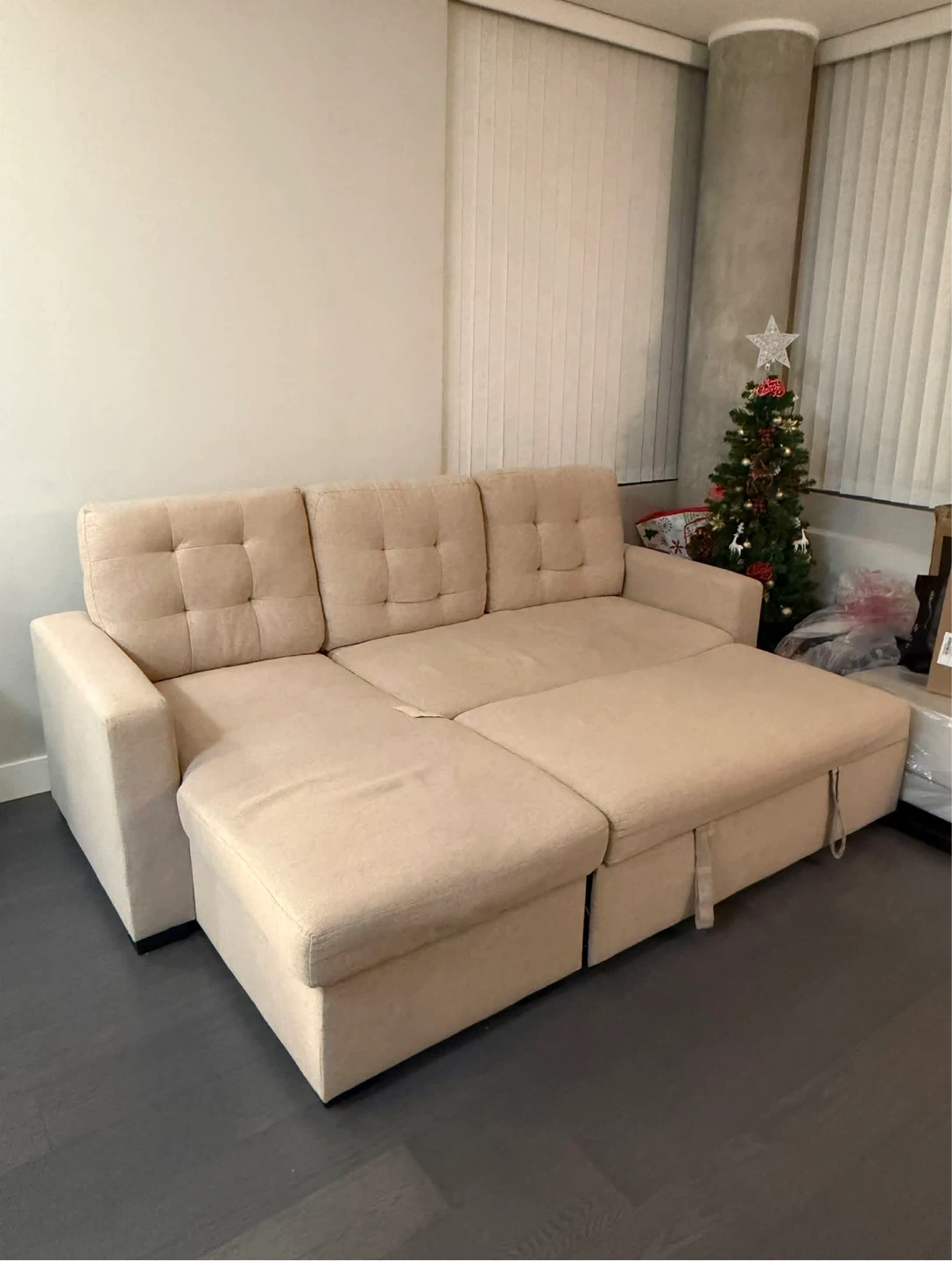 Beige Sectional Sofa Bed with Storage