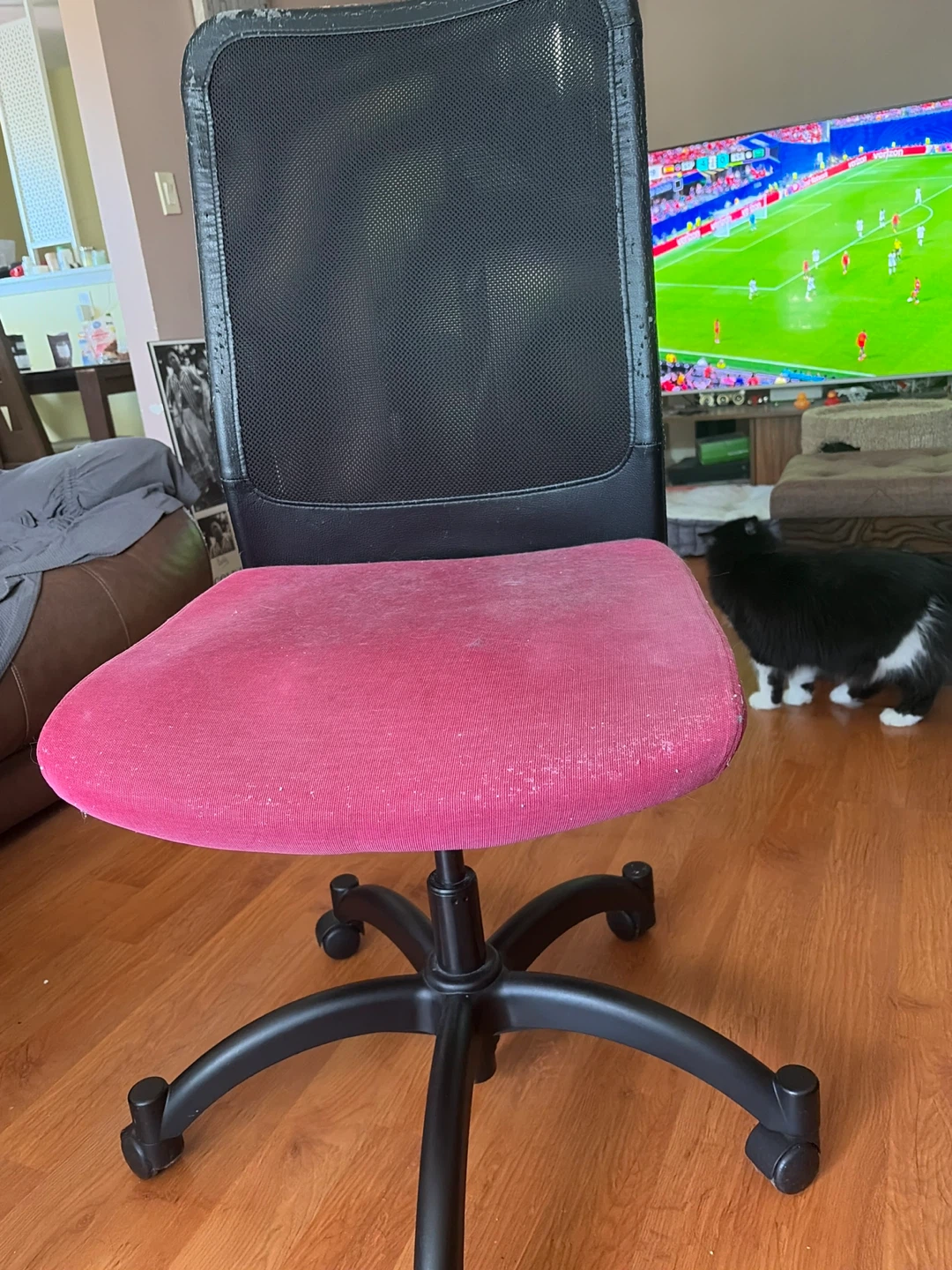Office Chair - Pink Seat, Black Mesh Back