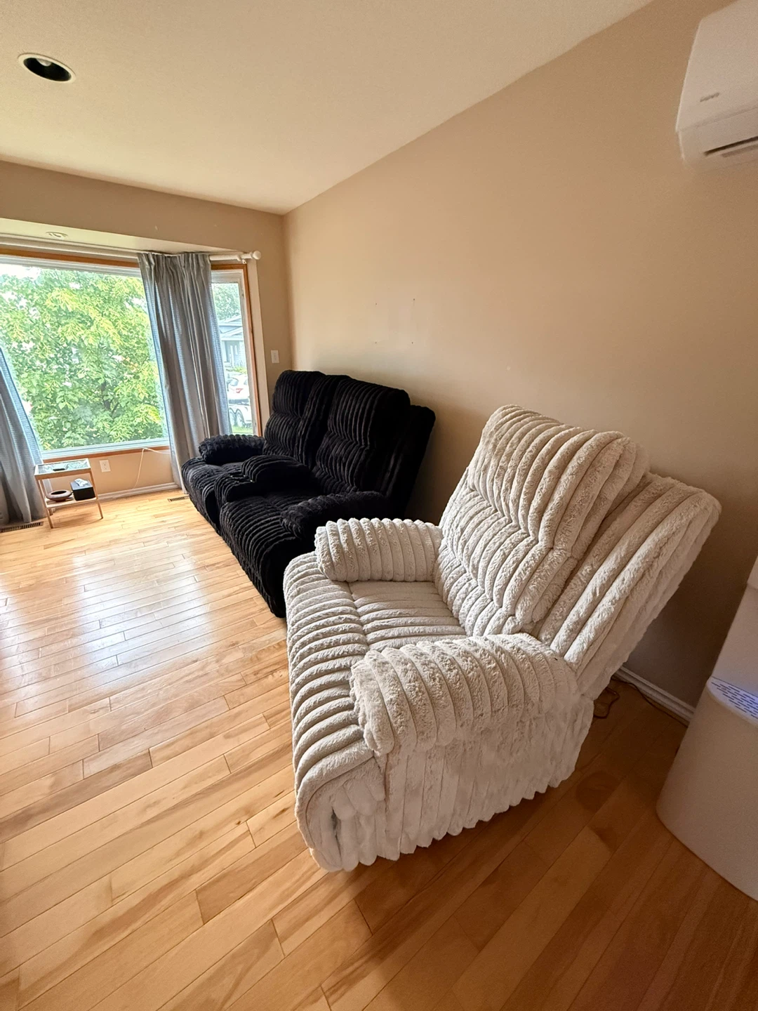 Love seat & recliner