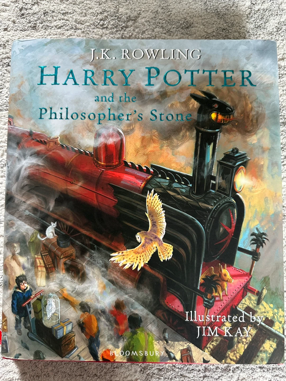 Illustrated Harry Potter Book