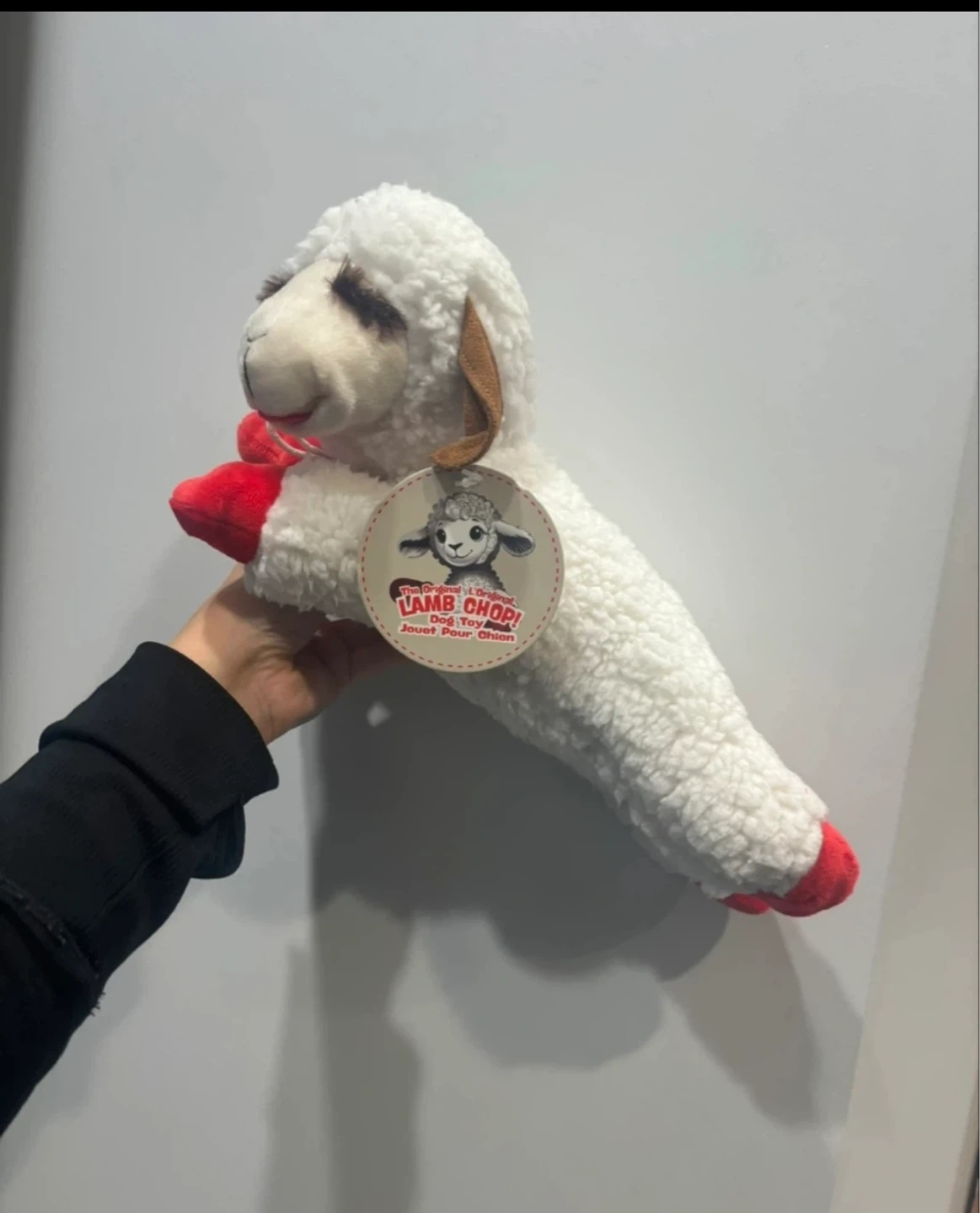 Brand new JUMBO Lamb Chop toy