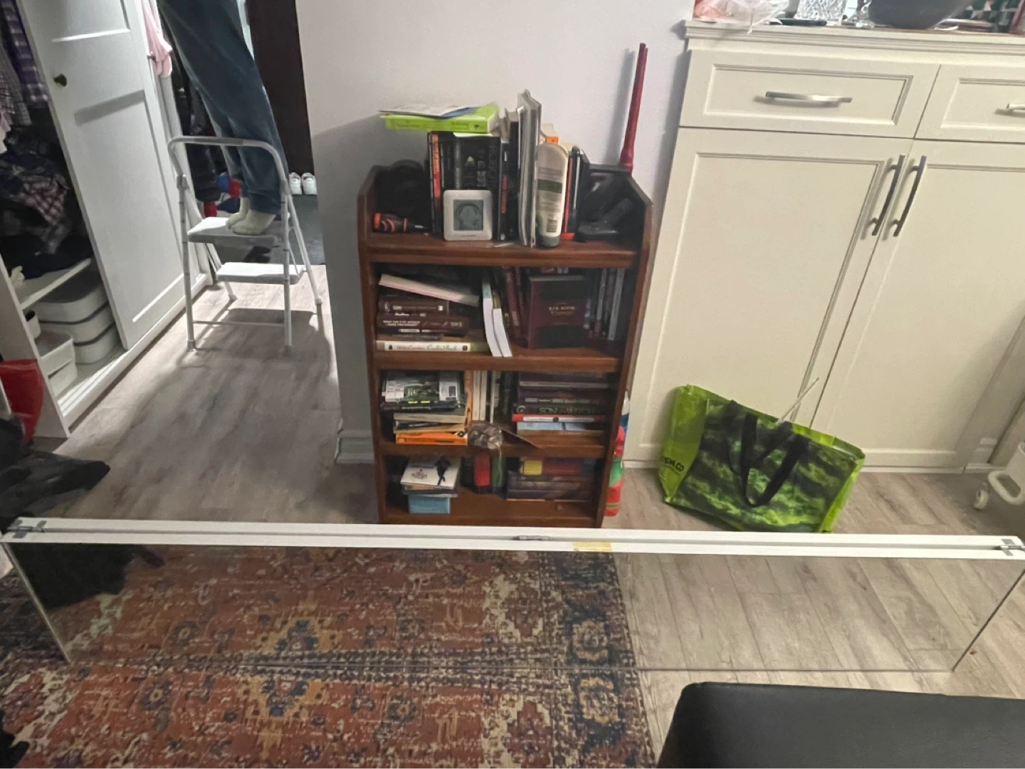 2 mirrored doors