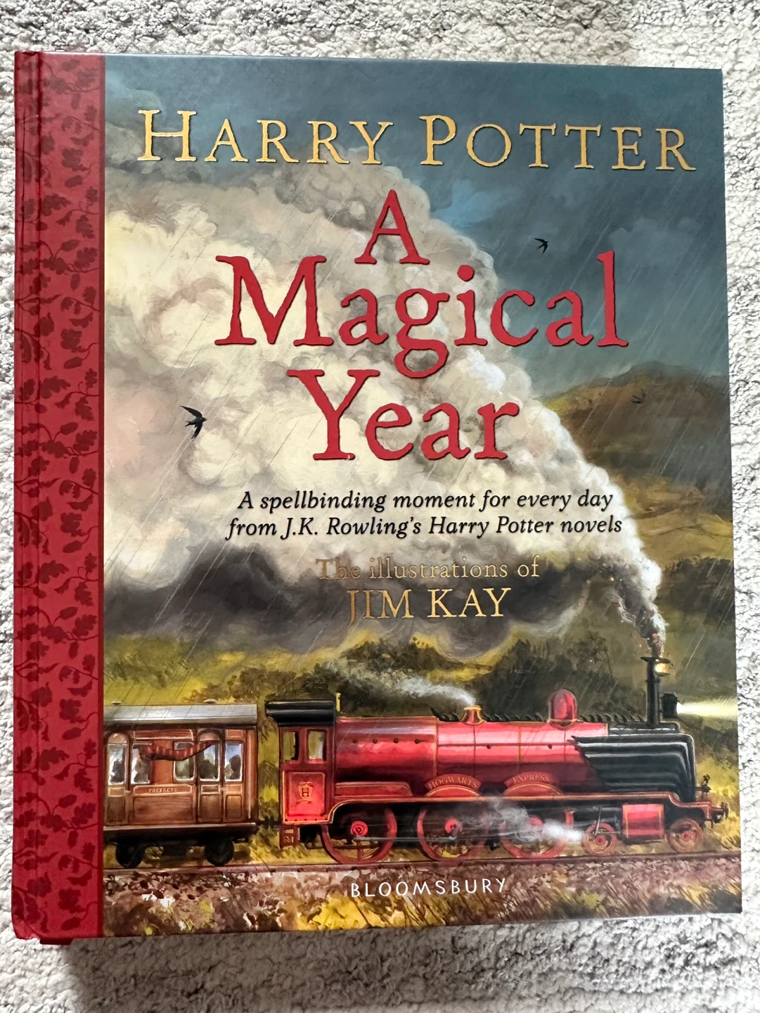 Illustrated Harry Potter Book