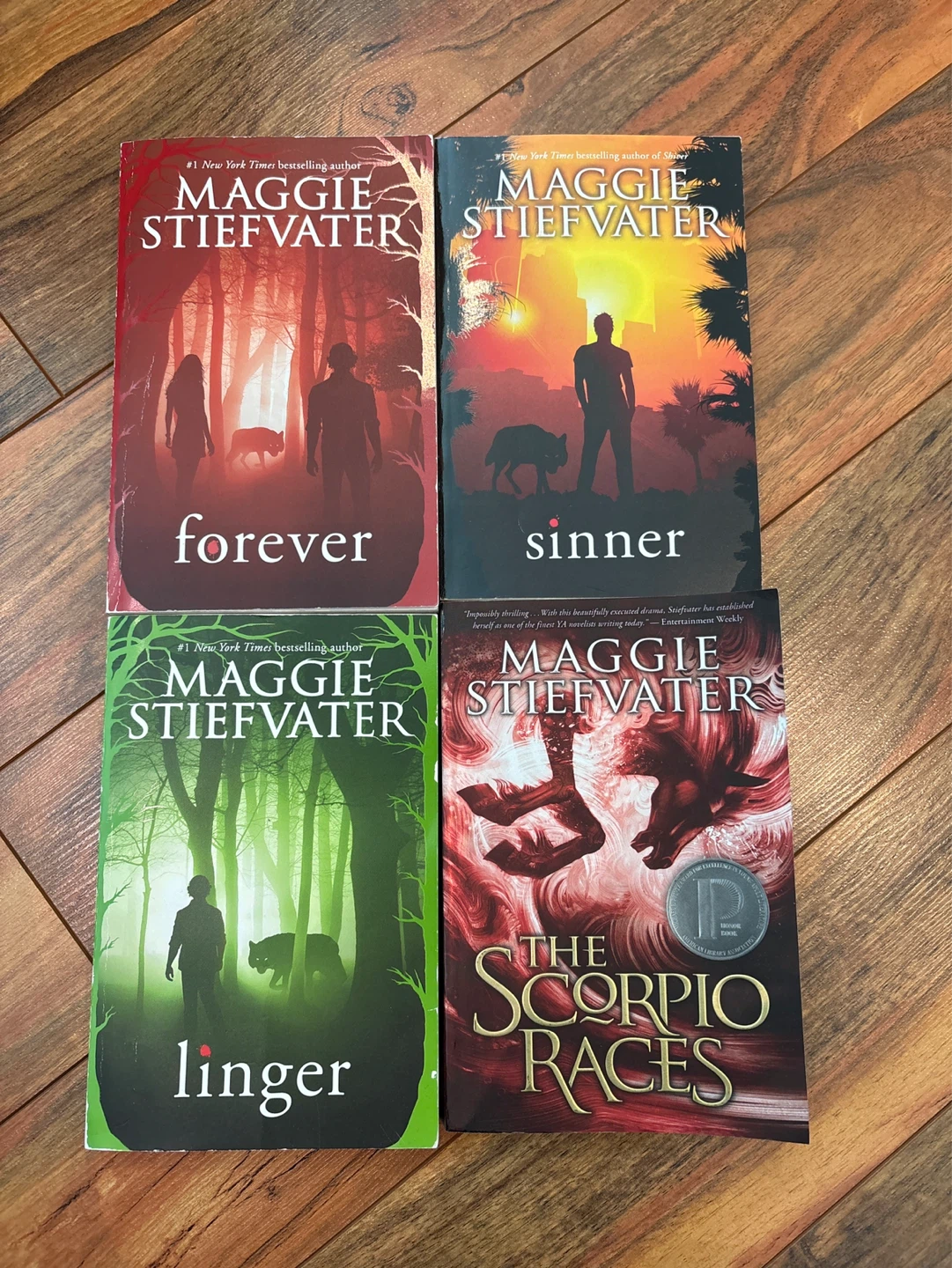 Maggie Stiefvater Books ⚽