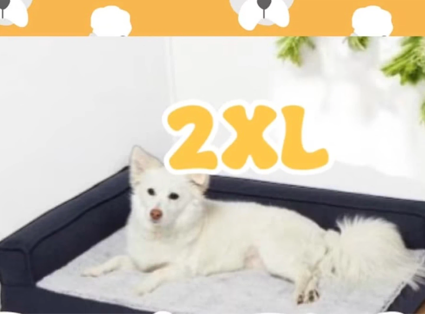 2XL Dog Bed with Bolster