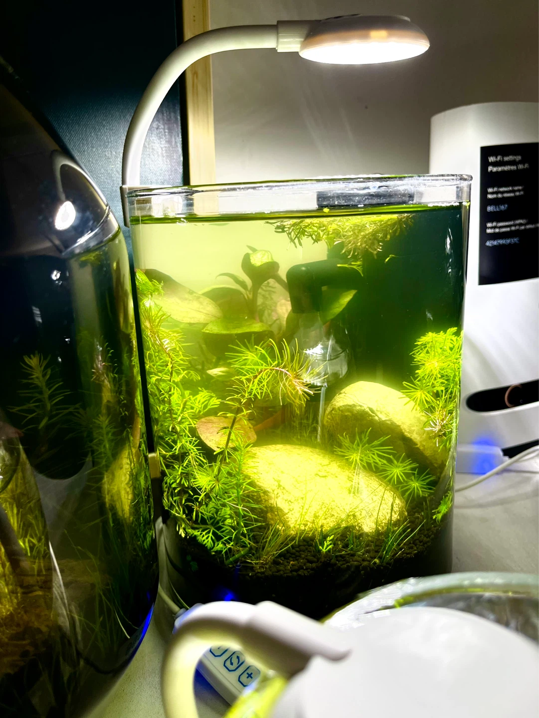4 liter Small Desktop Planted Aquarium. - photo 3