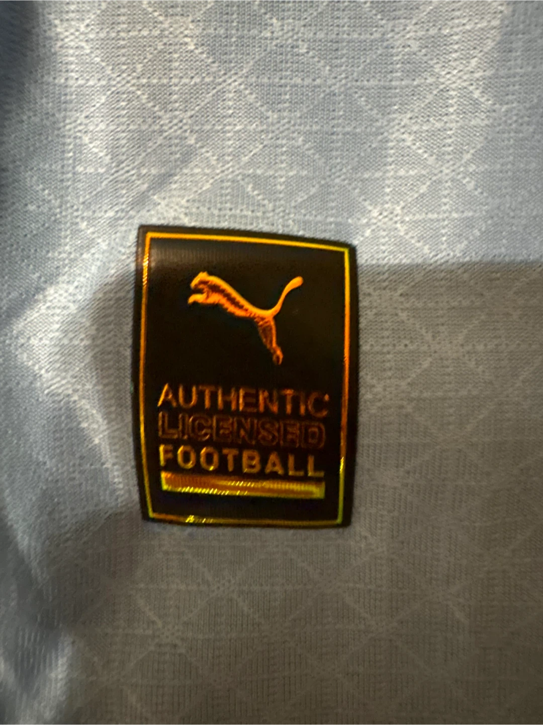 Manchester City 23/24Haaland 9 Jersey - photo 2