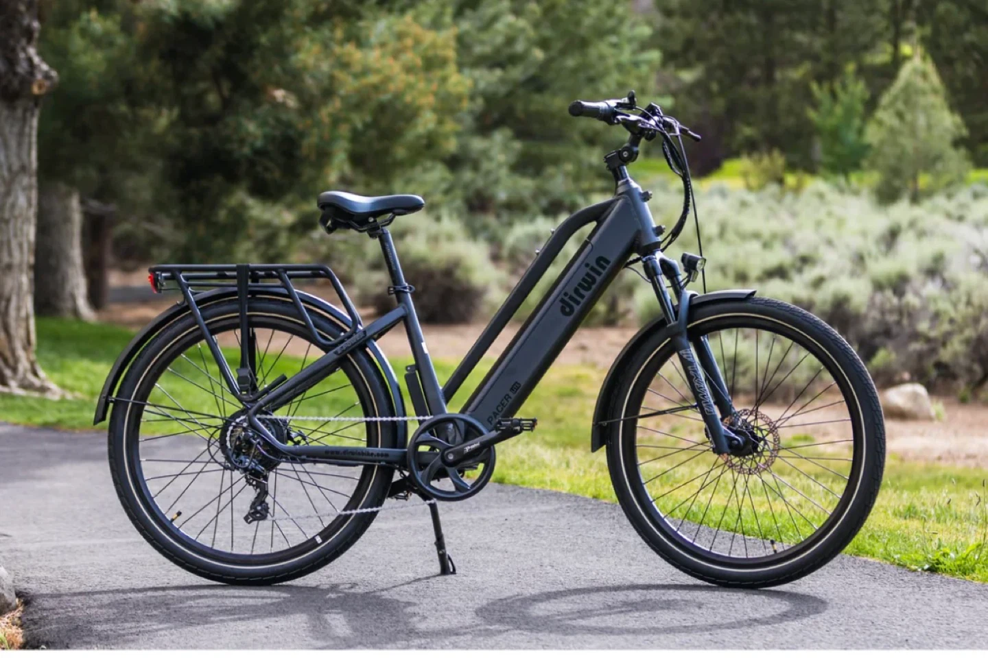 Dirwin E-Power Racer Electric Bike - photo 2