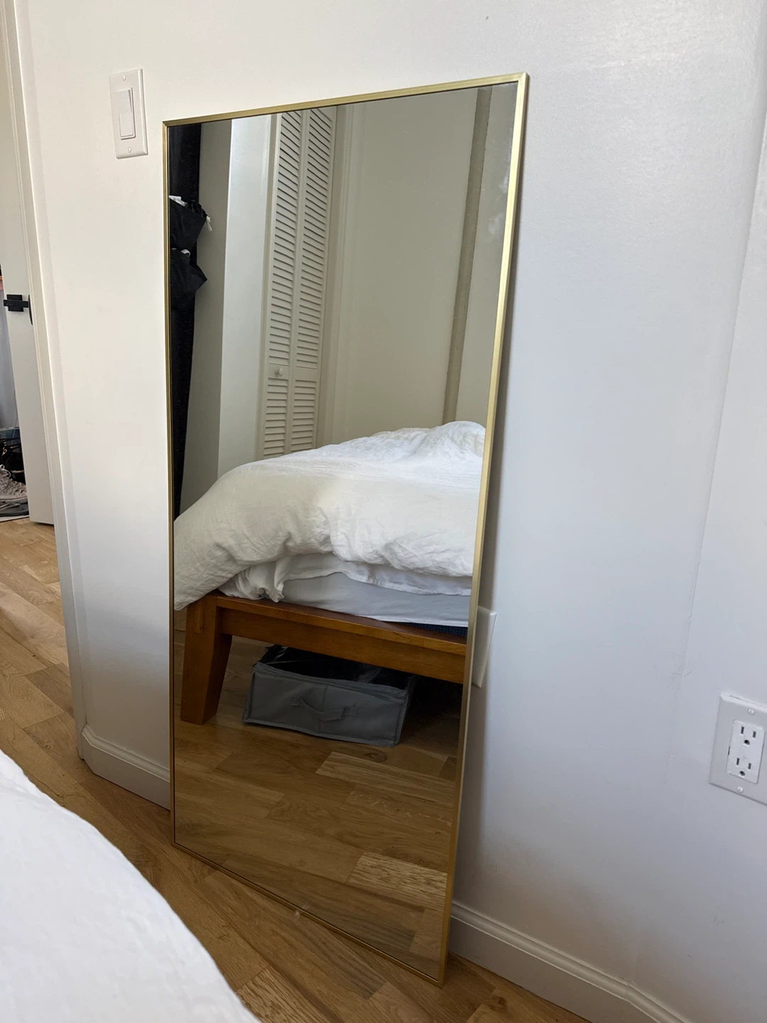 Gold Framed Mirror 48” x 22”