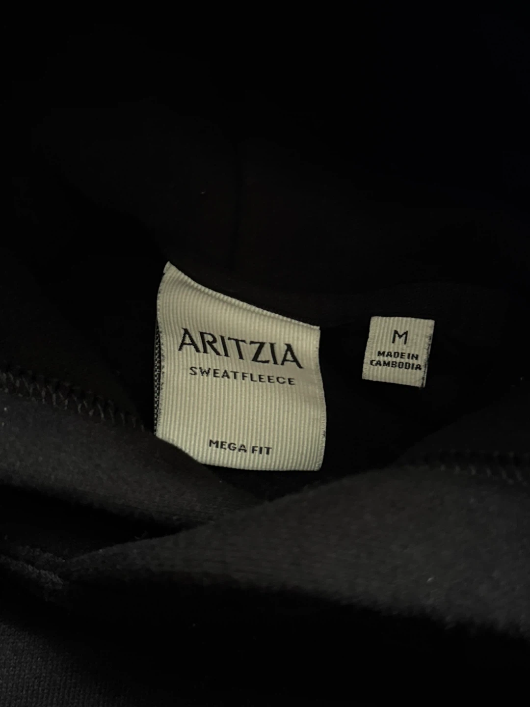ARITZIA SWEETFLEECE Mega Fit Hoodie - photo 2