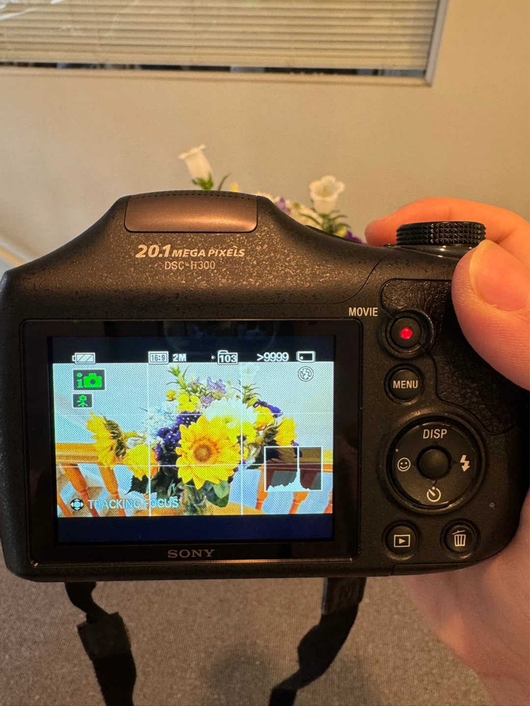 Sony Cyber-shot DSC-H300 Camera Bundle - photo 3